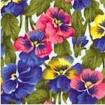 Pansy Bright - Field of Pansies on Ivory