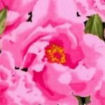 FLO-peonies-Y673