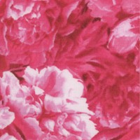 Floral Vignettes - The States Volume 1 - Indiana Peony