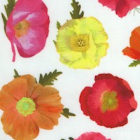 Positively Poppies - Tossed Blooms on Ivory