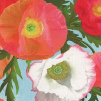 Positively Poppies - Beautiful Blooms on Blue