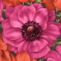 Lavish Florals - Opulent Poppies