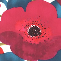 FLO-poppies-BB304