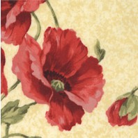 FLO-poppies-BB915