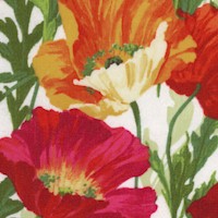 Full Bloom - Painterly Poppies on Ivory