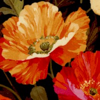 Full Bloom - Painterly Poppies on Black