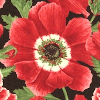 Poppy Perfection - Elegant Poppies by Jane Shasky of Janes Garden