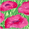 Bella Flora - Field of Pink Poppies