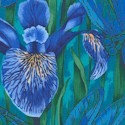 Tales of the Riverbank - Magnificent Irises and Dragonflies