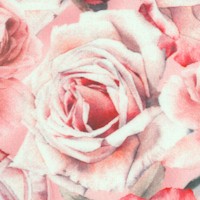 Rose Relief - Exquisite Roses (Digital)