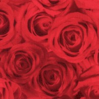 Vineyard Classics - Packed Scarlet Roses