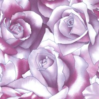 FLO-roses-BB703