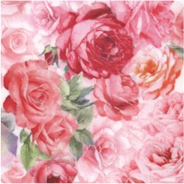 FLO-roses-BB778