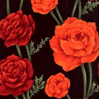 Wing Dreams - Romantic Roses by Cedar West