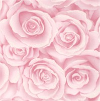 FLO-roses-CC484