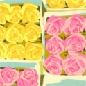 Flower Garden - Boxed Dozen by Martha Negley