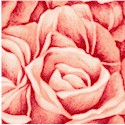 Rose Whispers - Luscious Packed Roses in Peach by Cedar West