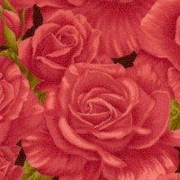 La Vie En Rose - Blooming Rose