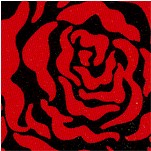 Night and Day 3 - Roses in Black  White and Red