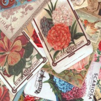 Ode to June - Packed Seed Packets by Iron Orchid Designs