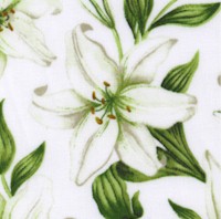 Spring Awakening - Tossed Elegant Lilies on Ivory