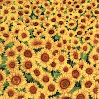 Perspectives - Double Border Vertical Sunflower Field