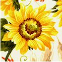 Sunflower Serenade on Ivory 