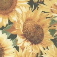 Photo Real Sunflowers by Patty Reed Designs - SPECIAL! LTD. YARDAGE AVAILABLE (.625 YD) - MUST BE PU