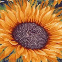 Here Comes the Sun - Gilded Large Blooming Sunflower