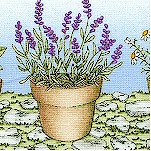 Thyme with Friends - Potted Herbs and Lavender Vertical Stripe