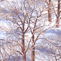 Sleighride - Winter Trees by John Sloane