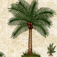 Caravan - Tossed Palm Trees on Texture by Dan Morris