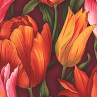 FLO-tulips-AA851