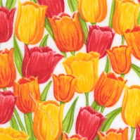 FLO-tulips-DD600