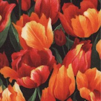 FLO-tulips-Z589