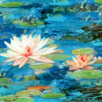 Picture This - Water Lilies