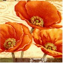 Windflower - Beautiful Poppy Collage by Daphne B.