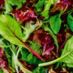 A La Carte - Spring Salad Mix (Digital)