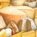 Food Festival - Packed Gourmet Cheeses