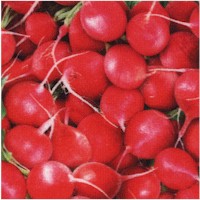 FB-radishes-Z306