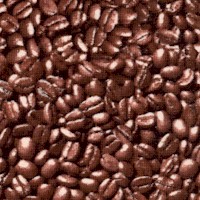 Food Festival - Packed Coffee Beans