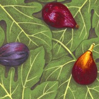 Eat - Figs on Leaves