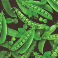 Fresh - Tossed Peas in the Pod on Black by Dan Morris