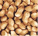 Packed Peanuts in the Shell