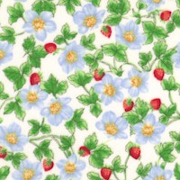 Cottage Kitchen Collection - Mini Strawberry Plants on Cream