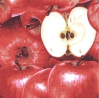 FB-apples-CC877