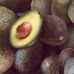 Food Festival - Real Avocados Up Close