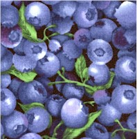 Farmer Johns Market - Blueberries