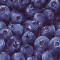 Farmers Market - Packed Fresh Blueberries