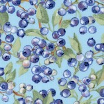 FB-blueberries-U829